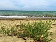 Spiaggia_3